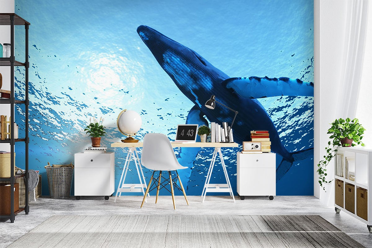 Whale Animals Sea Life Blue Wallpaper Mural - Decorsmarket – DecorsMarket